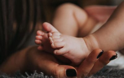 Life transition to parenthood