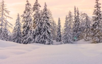 Seasonal Affective Disorder